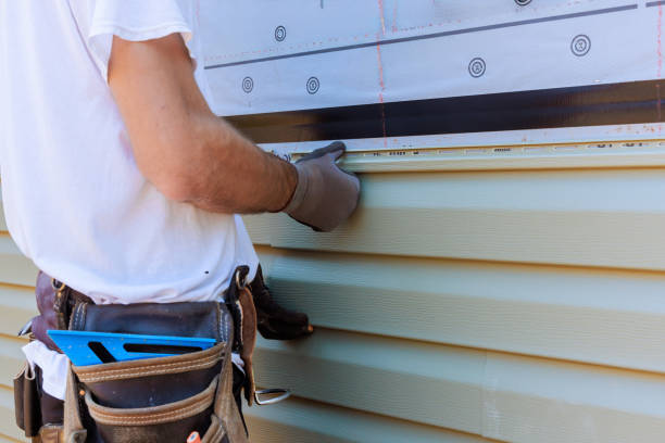 Affordable Vinyl Siding solutions in Warrenville, IL